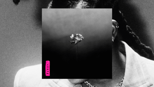 Lotus de Little Simz